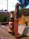 IMAG0457.jpg