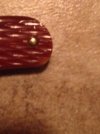 ImageUploadedByTapatalk1404965826.412830.jpg ImageUploadedByTapatalk1404965826.412830.jpg