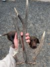 IMG_7910.jpeg