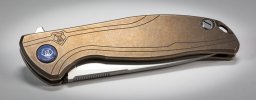 Shirogorov F95R Nudist AS-BR-4.jpg Shirogorov F95R Nudist AS-BR-4.jpg