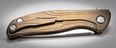 Shirogorov F95R Nudist AS-BR-5.jpg Shirogorov F95R Nudist AS-BR-5.jpg