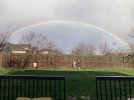 IMG_7290.jpeg
