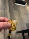IMG_6408.jpeg