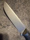 IMG_3819.jpeg