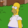 IMG_5512.gif
