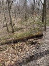 IMG_9400.jpeg