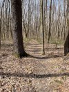IMG_9394.jpeg