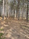 IMG_9393.jpeg