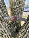 IMG_0836.jpeg
