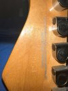 IMG_2636.jpeg