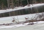 IMG_20250320_142723471~3.jpg
