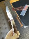 IMG_2737.jpeg