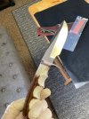 IMG_2738.jpeg