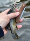 IMG_7458.jpeg
