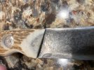 IMG_3764.jpeg