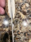 IMG_3766.jpeg
