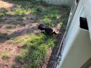 IMG_8014.jpeg