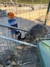 IMG_8019.jpeg