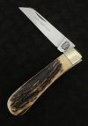 AW Small Sambar LF (2) 6-9.JPG
