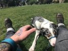 IMG_4829.jpeg