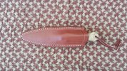 Boot Knife in Sheath Front.jpg
