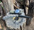 IMG_7101.jpeg