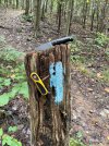 IMG_2127.jpeg
