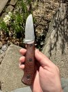 IMG_3778.jpeg