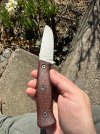 IMG_3779.jpeg