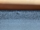 IMG_0043.jpeg
