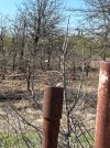 IMG_2928.jpeg