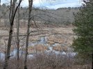 Meadow Marsh.jpeg