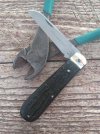 KIMG6907~2.JPG