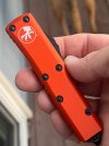 IMG_1781.jpeg