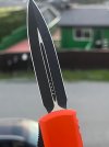 IMG_1786.jpeg