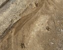 IMG_3805.jpeg