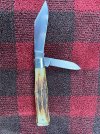 IMG_3939.jpeg