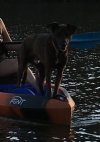 IMG_2436.jpeg