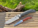 Harsey T3 & Lone Wolf City Knife.jpg