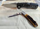 Lionsteel TM.jpg