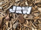IMG_7321.jpeg