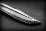 IMG_1555.jpeg