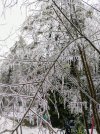 IMG_20250329_080635987~3.jpg