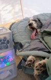 IMG_20250323_101551206~4.jpg