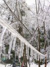 IMG_20250329_080627995~2.jpg