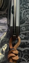 IMG_1128.jpeg