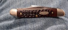 20250330_083746.jpg