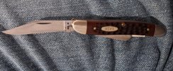 20250330_083721.jpg