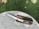 IMG_7830.jpeg