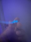 IMG_2689.jpeg